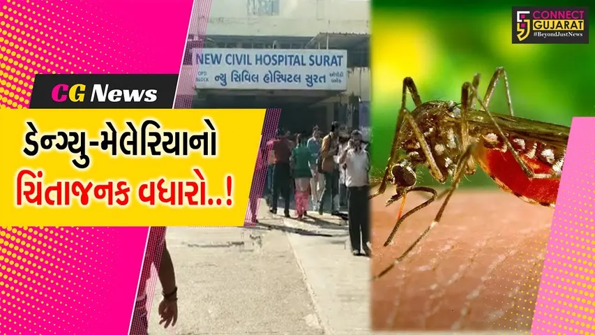 સુરત : ડેન્ગ્યું અને મેલેરિયાના કેસમાં સતત વધારો, સરેરાશ 800 દર્દી લઈ રહ્યા છે સારવાર...