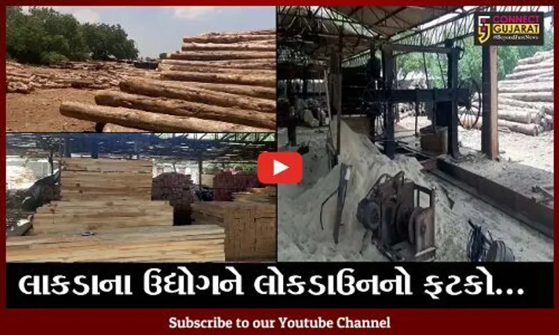 કચ્છ : ટીમ્બરના ઉદ્યોગના વ્યવસાયકારો મુકાયા ભીંસમાં, લાકડાની માંગમાં થયો ઘટાડો