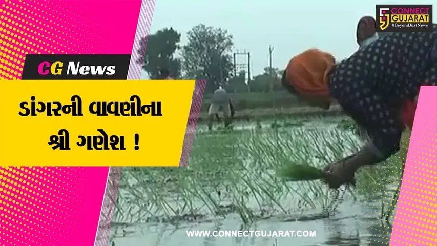 સાબરકાંઠા: ખેતીલાયક વરસાદ વરસતા ડાંગરની વાવણીના શ્રી ગણેશ કરતા ધરતીપુત્રો