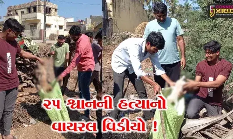 ગીરસોમનાથ: આ ગામમાં એક સાથે 25 શ્વાનોની સામૂહિક હત્યા થઈ હોવાનો ચોંકાવનારો વિડીયો વાયરલ,જુઓ શું છે તથ્ય