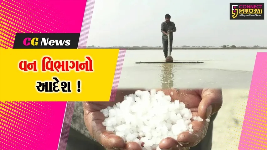 સુરેન્દ્રનગર: અભ્યારણ્યમાં અગરિયાકાર્ડ ધરાવતા અગરિયાઓ જ આગામી સિઝનમાં પ્રવેશ મેળવી શકશે