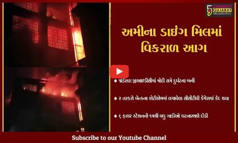 સુરત: પાંડેસરાની અમીના ડાઇંગ મિલમાં આગ ભભૂકી, સમયસર કર્મચારીઓ બહાર નીકળી જતા જાનહાનિ નહીં