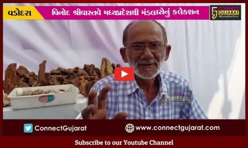 વડોદરા : લ્યો બોલો... અહીના પથ્થરો તો જાણે બોલે છે, જોઈને તમે પણ થઈ જશો સ્તબ્ધ..!