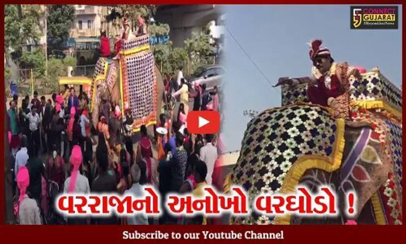 અમદાવાદ:વરરાજા હાથીની અંબાડી પર સવાર થઈ કન્યાને પરણવા નિકળ્યા,લોકોમાં જમાવ્યું આકર્ષણ