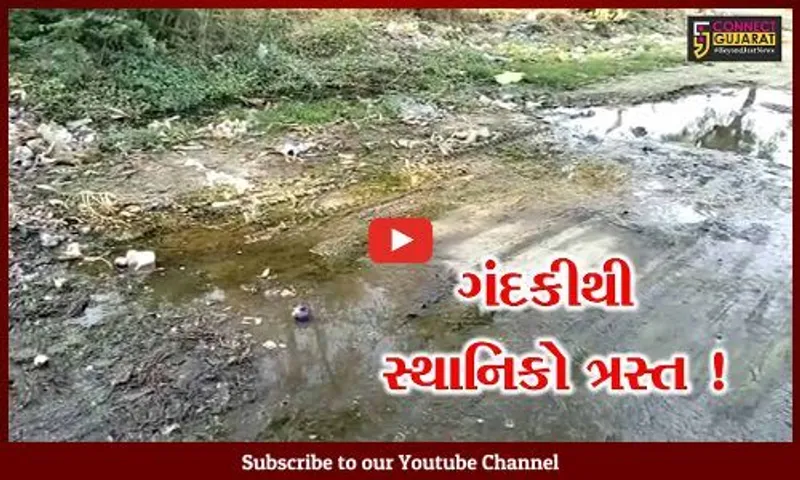 ભરૂચ: જંબુસરના તળાવપુરાથી ભાણખેતર જવાના મુખ્ય માર્ગ પર ગંદકીનું સામ્રાજ્ય, સ્થાનિકોમાં રોષ