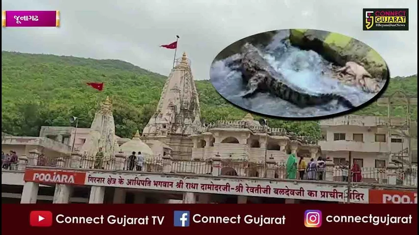 જૂનાગઢ દામોદર કુંડમાં સ્નાન કરતા પહેલા જોઈ લો આ વિડિઓ, નહીંતર મોતના મુખમાં હોમાઈ જશો