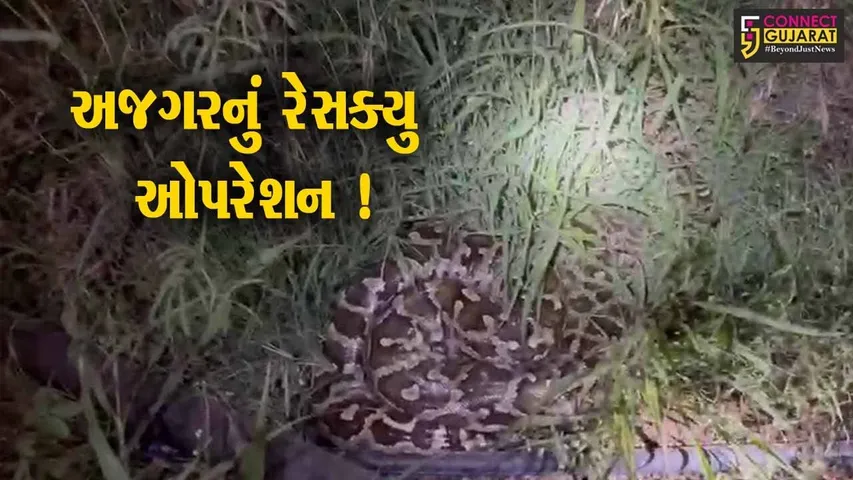 ભાવનગર:મહાકાય અજગરે દેખા દેતા ગ્રામજનોમાં ફફડાટ,વનવિભાગને જાણ કરવામાં આવી