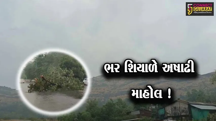રાજ્યમાં ભારે પવન અને ગાજવીજ સાથે કમોસમી વરસાદ, ઠેર ઠેર વૃક્ષો ધરાશયી