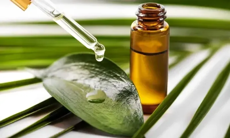 ટી-ટ્રી ઓઈલ નેલ ફંગસનો ઈલાજ છે, જાણો તેનો ઉપયોગ કેવી રીતે કરવો