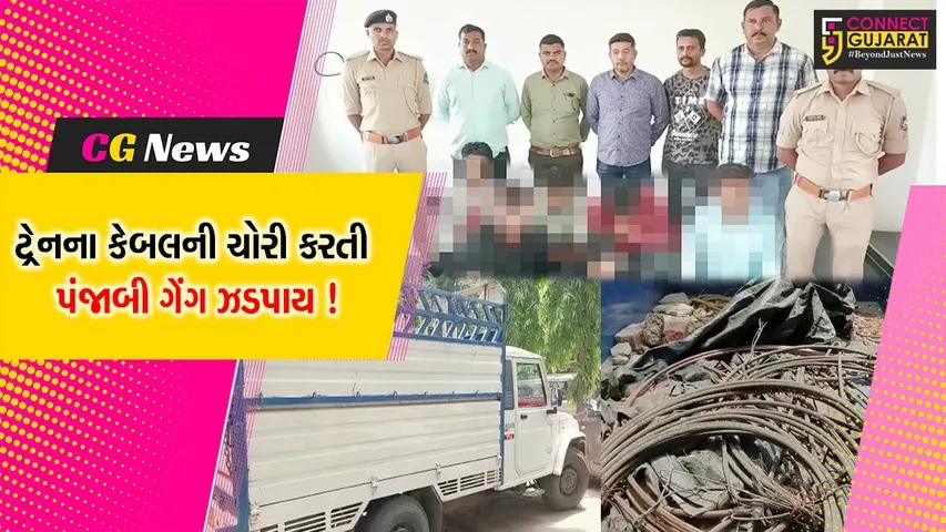 ભરૂચ:ક્રાઇમ બ્રાન્ચે પંજાબી ગેંગના 6 સાગરીતોની કરી ધરપકડ, ગુડ્સ ટ્રેનના રેલ્વે ટ્રેકમાંથી કોપર કેબલની કરતા હતા ચોરી