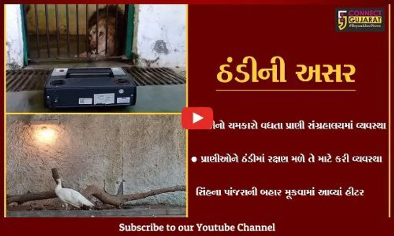 સુરત: તાપમાનનો પારો ગગડતા પ્રાણી સંગ્રહાલયમાં વન્ય જીવો માટે હીટરની કરાઈ વ્યવસ્થા
