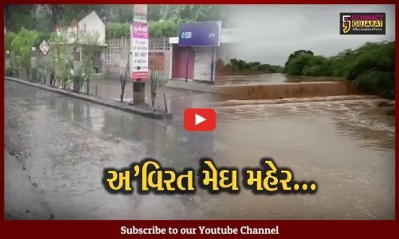 અમરેલી જિલ્લાના ગામડાઓને ધમરોળતો "મેઘો", અવિરત વરસાદથી ગ્રામ્ય વિસ્તારો તરબોળ થયા