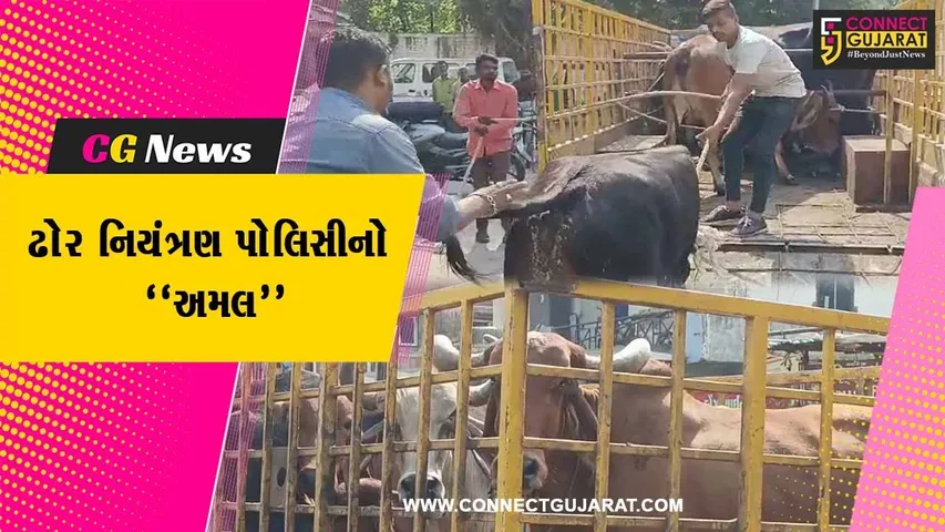 વડોદરા : ઢોર નિયંત્રણ પોલિસીનો અમલ શરૂ, મનપા દ્વારા રખડતાં ઢોર પકડવાની કામગીરીને વેગ...