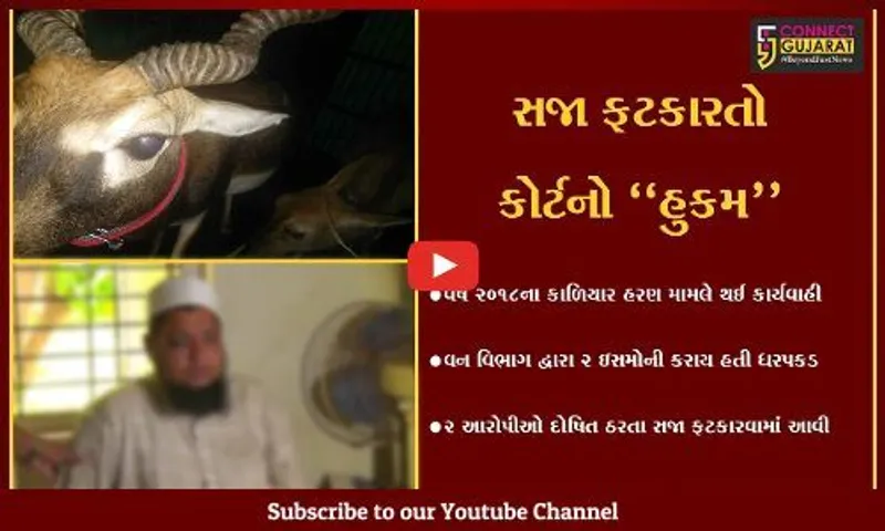 વલસાડ : કાળીયાર હરણ પ્રકરણમાં 2 ઇસમોની ધરપકડ, રોકડ દંડ સહિત કેદની સજા ફટકારતો કોર્ટ હુકમ...