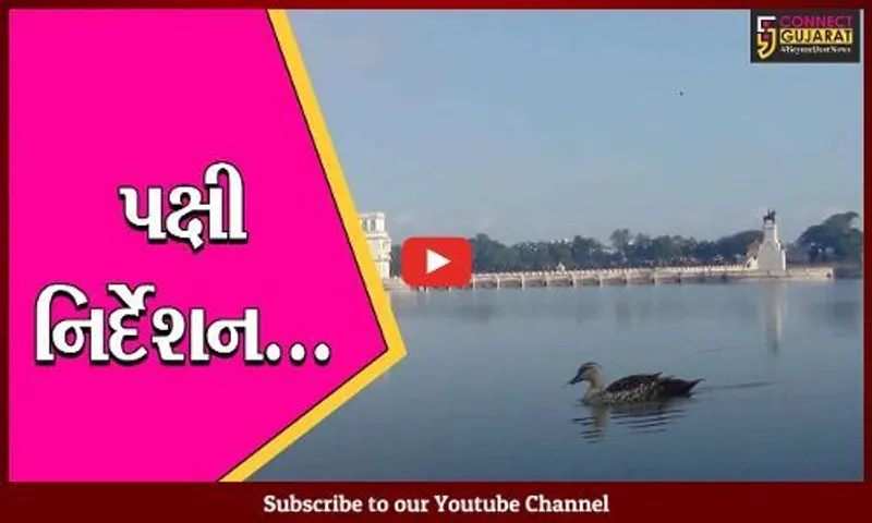 જામનગર: વાઈલ્ડલાઈફ વિકની ઉજવણીના ભાગરૂપે પક્ષી નિર્દેશન કાર્યક્રમની કરાય ઉજવણી