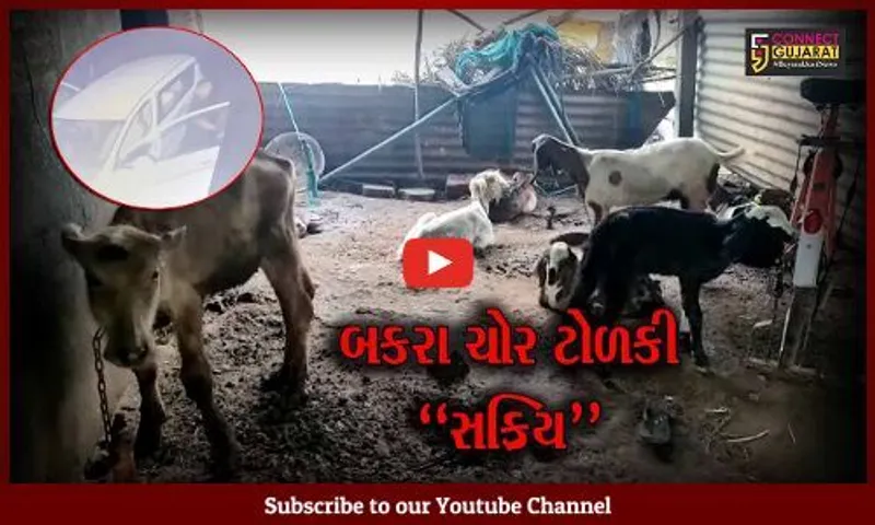 વડોદરા : કરજણના સાયર ગામે કાર લઈને ત્રાટકી બકરા ચોર ટોળકી, સમગ્ર ઘટના CCTVમાં કેદ...
