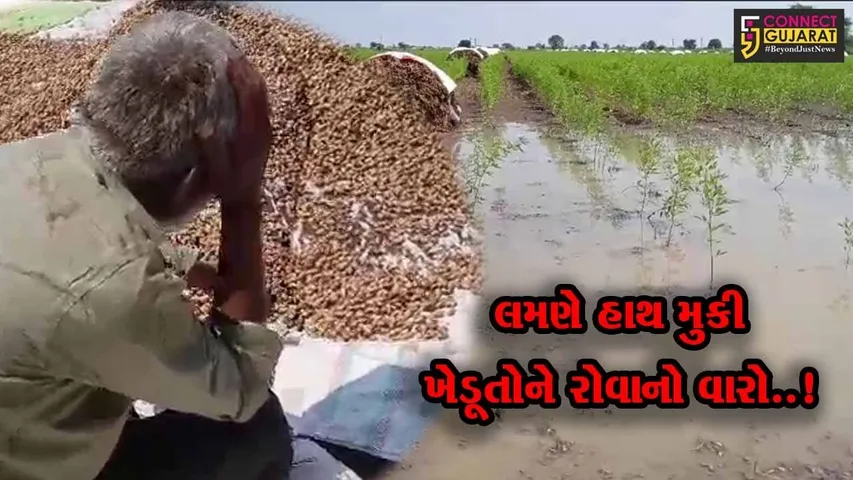 જુનાગઢ : અજાબ ગામે કમોસમી વરસાદે સર્જી તારાજી, પાકને વ્યાપક નુકશાન પહોચતા ખેડૂતોને પડતાં પર પાટુ