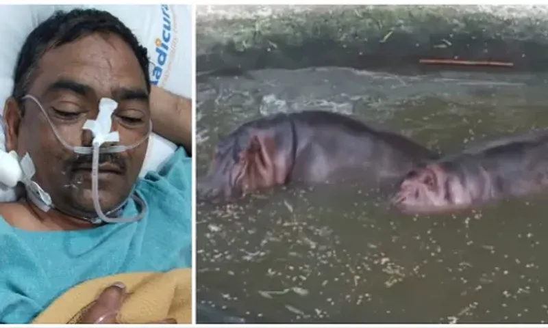 વડોદરા : સયાજીબાગ પ્રાણી સંગ્રહાલયમાં હિપોના હુમલામાં ઘાયલ થયેલ સિક્યોરિટીનું લાંબી સારવાર બાદ મોત…