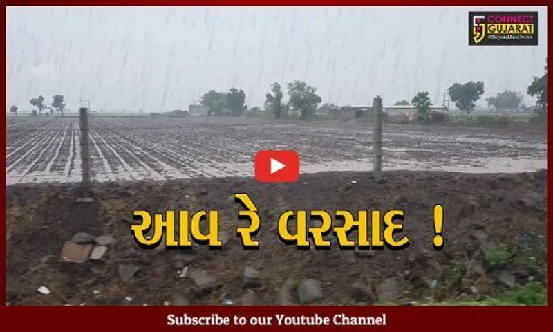 ગુજરાતમાં ચોમાસુ જામ્યું, વિવિધ જિલ્લાઓમાં ધોધમાર વરસાદ