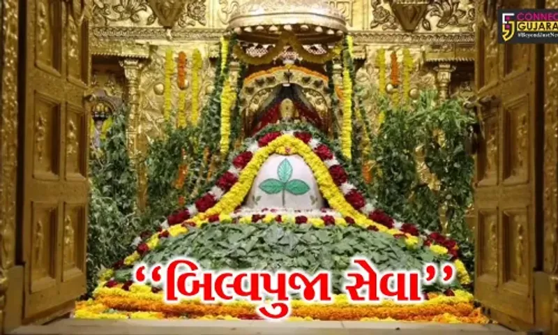 હવે, મહાશિવરાત્રી પર્વ પર દરેક ભક્ત સોમનાથ મહાદેવને બિલ્વપત્ર અર્પણ કરવાનું પુણ્ય મેળવી શકશે, જુઓ આ અહેવાલ...
