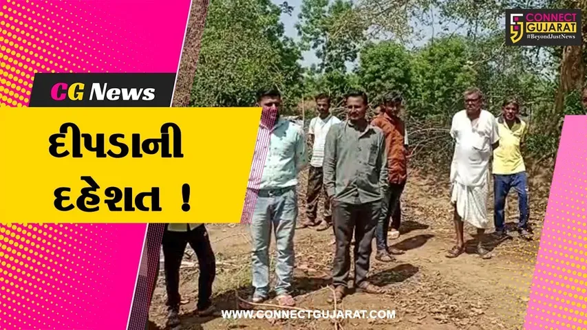 અરવલ્લી:મોડાસા તાલુકાનાં ગ્રામ્ય વિસ્તારમાં દીપડાનો આતંક, ગ્રામજનોમાં ફફડાટ