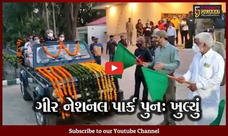 જુનાગઢ : ગીર નેશનલ પાર્ક પ્રવાસીઓ માટે આજથી ખુલ્લું મુકાયું…