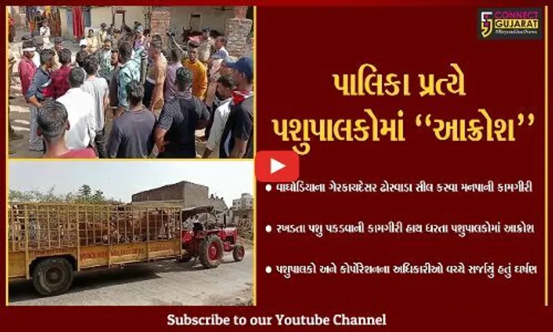 વડોદરા : ગેરકાયદેસર ઢોરવાડા સીલ કરવા મનપાની કામગીરી, અધિકારીઓ અને પશુપાલકો વચ્ચે સર્જાયું ઘર્ષણ