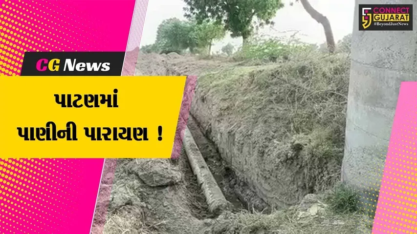 પાટણ: સમી તાલુકામાં ખેડૂતોને સિંચાઇ માટેનું પાણી ન મળતા રોષ,જુઓ ખેડૂતોએ શું કર્યા આક્ષેપ