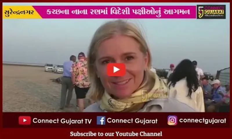 કચ્છના નાના રણમાં વિદેશી પક્ષીઓનું આગમન, અભયારણ્યની મુલાકાતે સહેલાણીઓ ઉમટ્યા...