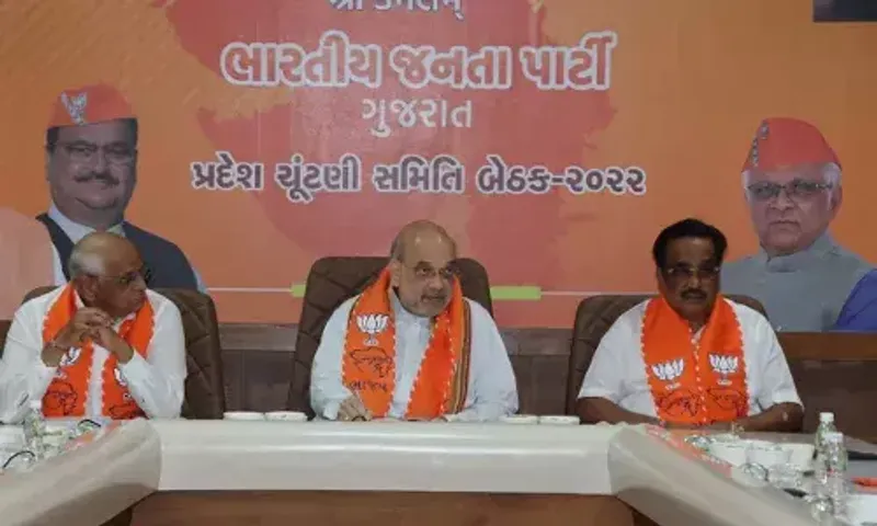 ગુજરાત ભાજપમાં રાષ્ટ્રીય કારોબારી બેઠક બાદ આવી શકે છે મોટા બદલાવ, વાંચો વધુ...