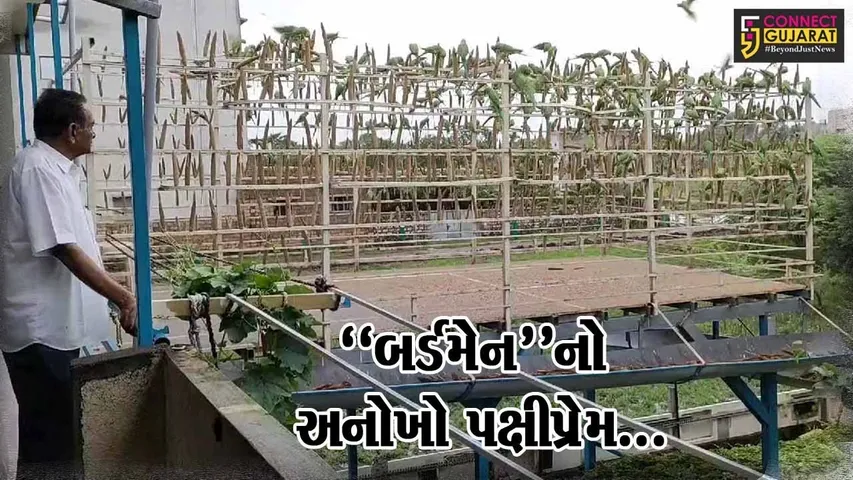 ગિરિનગરનો “પક્ષીપ્રેમી” પરિવાર : રોજ 5 હજાર પક્ષીઓને ચણ ખવડાવી સાર-સંભાળ લેતો કેશોદનો ખેડૂત પરિવાર...