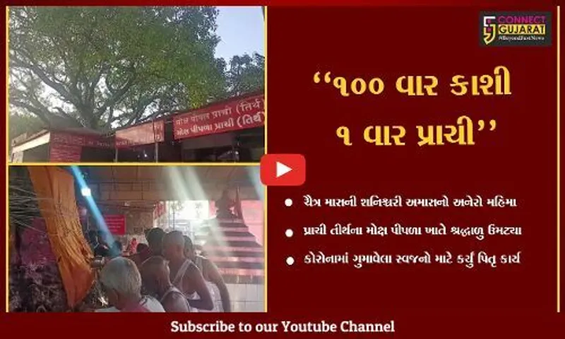 ગીર સોમનાથ : પ્રાચી તીર્થના મોક્ષ પીપળાએ આજે ચૈત્રી શનિશ્વરી અમાસે ઊમટ્યું શ્રદ્ધાળુઓનું ઘોડાપૂર...