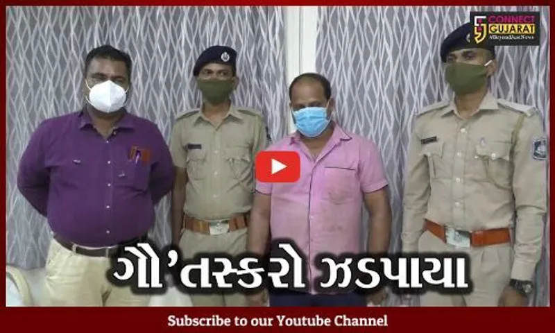 વલસાડ : પોલીસ અને નેત્રમની ટીમે કર્યો ગૌ તસ્કરીનો પર્દાફાશ, 3 આરોપીઓની ધરપકડ...
