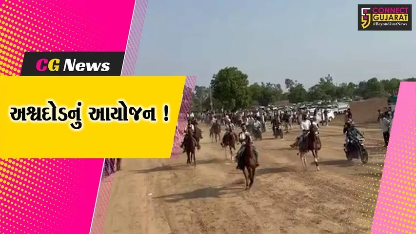 ભરૂચ: આમોદમાં અનોખી અશ્વ સ્પર્ધા યોજાય, 50થી વધુ ઘોડે સવારોએ લીધો ભાગ