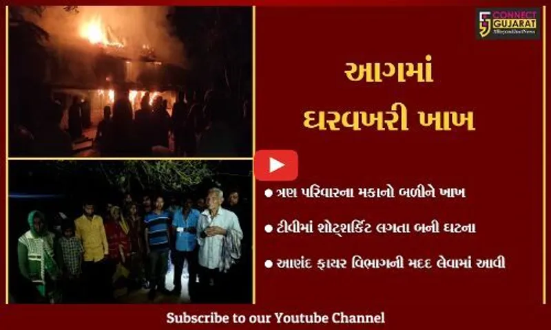 આણંદ : પેટલાદના રંગાયપુરમાં ત્રણ મકાનમાં આગ, મજૂરી કરીને પેટયું રડતા પરિવારો ઘરવિહોણા થયા