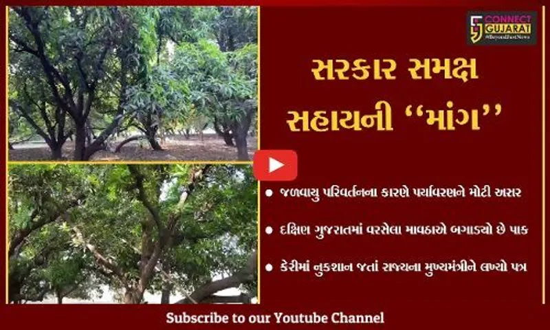 સુરત : દક્ષિણ ગુજરાતમાં માવઠાએ બગાડ્યો કેરીનો પાક, સહાય માટે ખેડૂતે લખ્યો મુખ્યમંત્રીને પત્ર