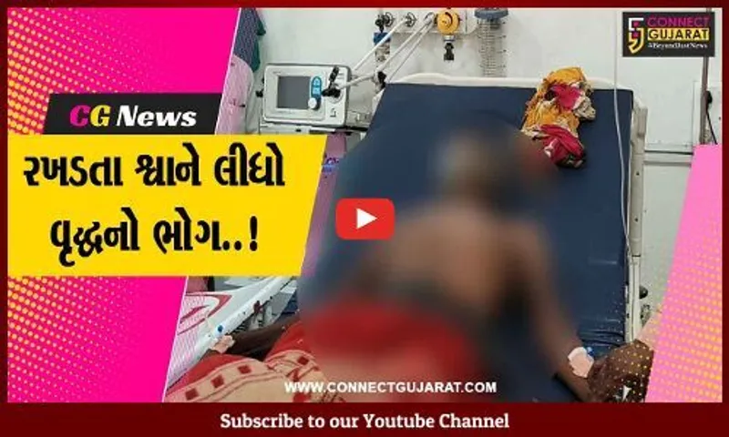 સુરત : હડકવા વિરોધી રસી નહીં લેનાર વૃદ્ધને હડકવાના લક્ષણો ઉપડતા સારવાર દરમ્યાન મોત...