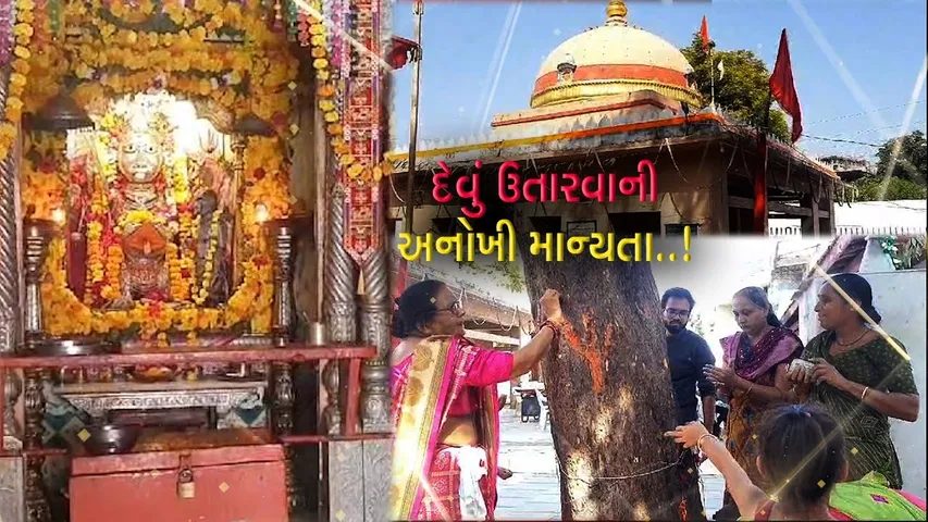 દશેરાએ દેવું ઉતારવાની અનોખી માન્યતા : ભરૂચના સિંઘવાઇ મંદિરે સમી વૃક્ષની છાલ ઉખાડી માતાને અર્પણ કરતાં શ્રદ્ધાળુઓ...