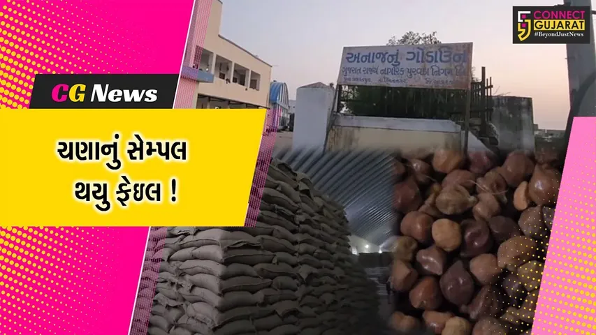 સાબરકાંઠા: બે તાલુકામાં ચણાનું સેમ્પલ થયું ફેઈલ, 30 મેટ્રિક ટન ચણાનો જથ્થો પરત મોકલવામાં આવશે