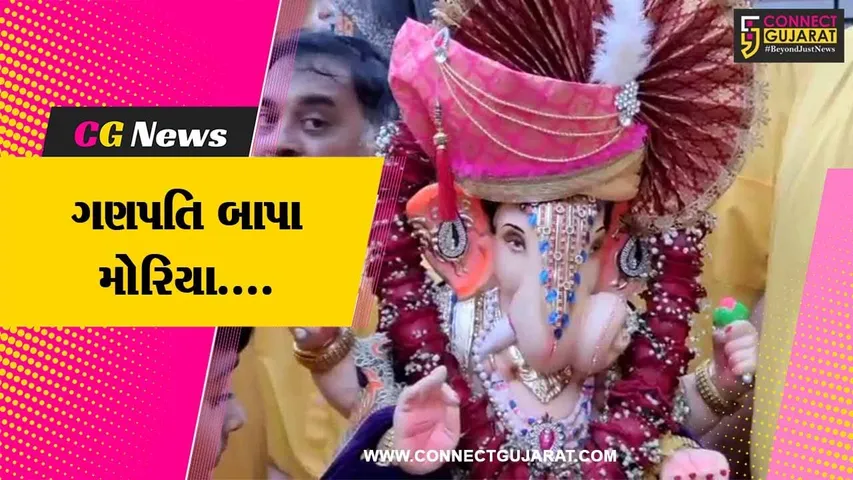 વડોદરા: ઇલોરાપાર્કના ઇન્દ્રપ્રસ્થ યુવક મંડળ દ્વારા વાજતે ગાજતે કરાયું શ્રીજીની પ્રતિમાનું આગમન.....