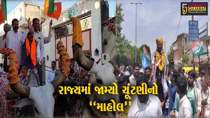 સમગ્ર રાજ્યમાં જામ્યો ચૂંટણીનો માહોલ, તમામ રાજકીય પક્ષના ઉમેદવારોએ ભર્યા પોતાના નામાંકન પત્ર...