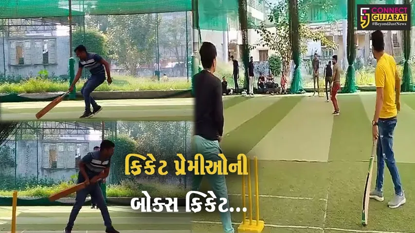 ભરૂચ : ઇફકો ટોકીઓ જનરલ ઇન્સ્યોરન્સ કંપની દ્વારા બોક્સ ક્રિકેટ ટુર્નામેન્ટ યોજાય, ક્રિકેટ પ્રેમીઓએ ઉત્સાહભેર ભાગ લીધો