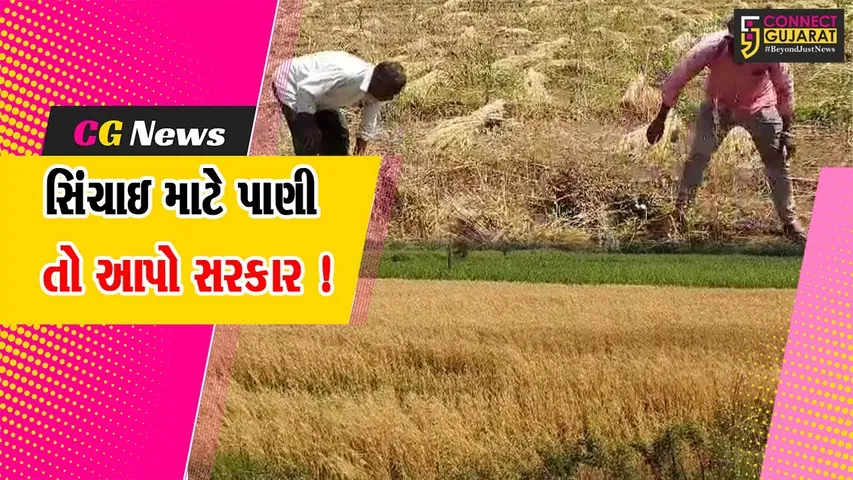 સુરત: દક્ષિણ ગુજરાતનાં ખેડૂતો મુશ્કેલીમાં,સિંચાઇ માટેનું પાણી ન મળતા ખેડૂતોએ તંત્રને કરી રજૂઆત