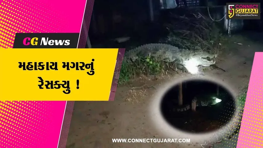ભરૂચ: ઝઘડિયાના ભાલોદ ગામે મોટી ભાગોળ વિસ્તારમાં મોડી રાત્રે મગર ધશી આવતા દોડધામ