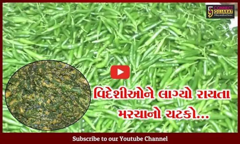 સુરેન્દ્રનગર : સાત સમંદર પાર પહોંચ્યો વઢવાણિયા રાયતા મરચાનો સ્વાદ, ગ્રુહ ઉદ્યોગ થકી મહિલાઓ બની આત્મનિર્ભર...