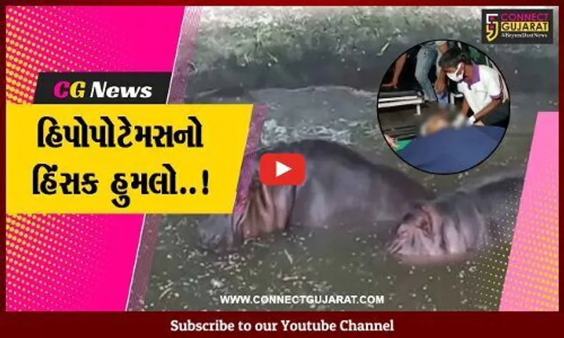 વડોદરા : હિપોપોટેમસનો ઝૂ ક્યુરેટર અને સિક્યુરિટી ગાર્ડ પર હિંસક હુમલો, બન્નેની હાલત ગંભીર..!