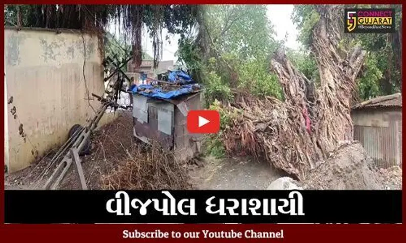 આણંદ : વીજપોલ ધરાશાયી થતાં ગામડી પંથકમાં વીજપુરવઠો ખોરવાયો
