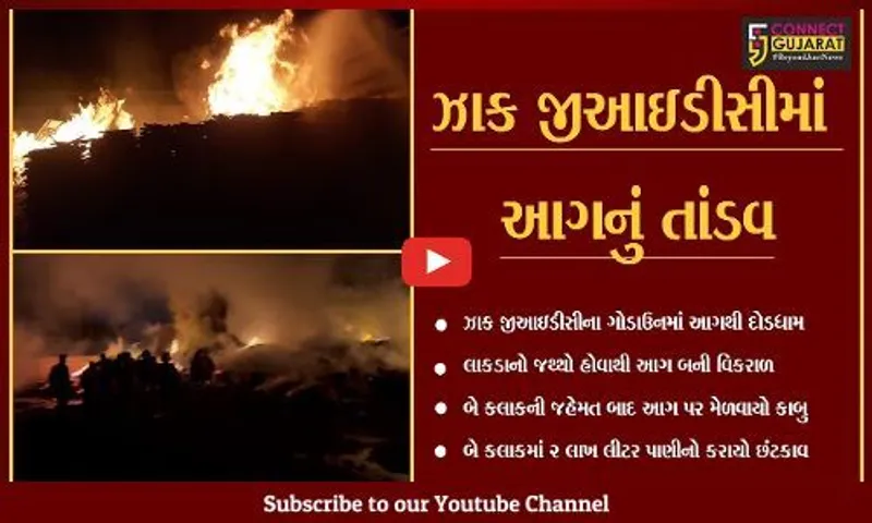 અમદાવાદ : ઝાકમાં ટીમ્બરના ગોડાઉનમાં ભીષણ આગ, 2 લાખ લીટર પાણીનો છંટકાવ