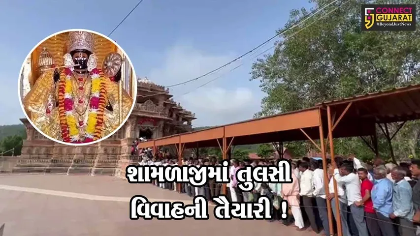 અરવલ્લી:શામળાજી ખાતે પ્રથમ વખત તુલસી વિવાહનો કાર્યક્રમ બે દિવસ યોજાશે,મોટી સંખ્યામાં ભાવિક ભક્તો રહેશે ઉપસ્થિત