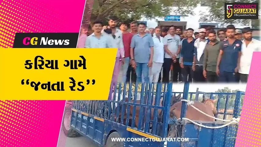 જુનાગઢ : મનપા રખડતાં ઢોર બોર્ડર વિસ્તારમાં છુટા મુકે તે પહેલા કરિયા ગામે “જનતા રેડ”